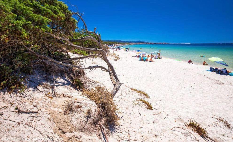 Appartamento A Pochi Passi Dalla Spiaggia Alghero Kültér fotó